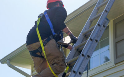 Chimney inspection in Lake Orion, MI.